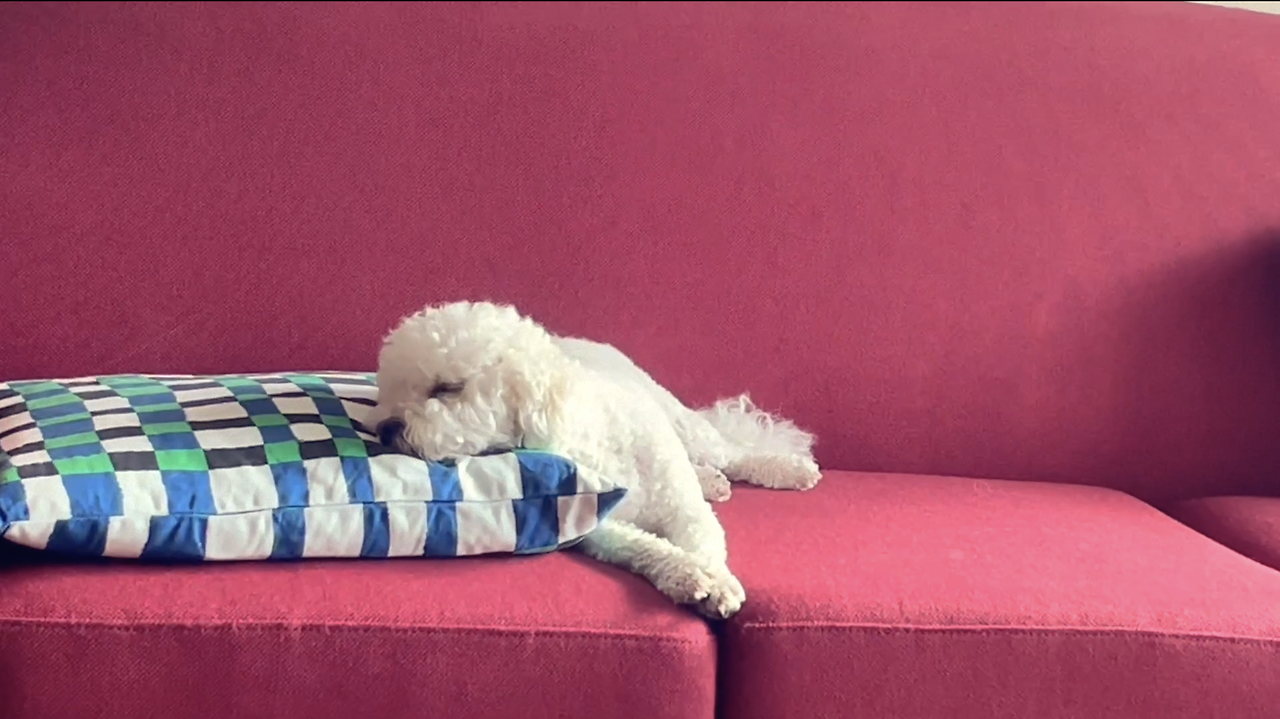 Screenshot 2025-03-03 at 1.01.42 AM.png