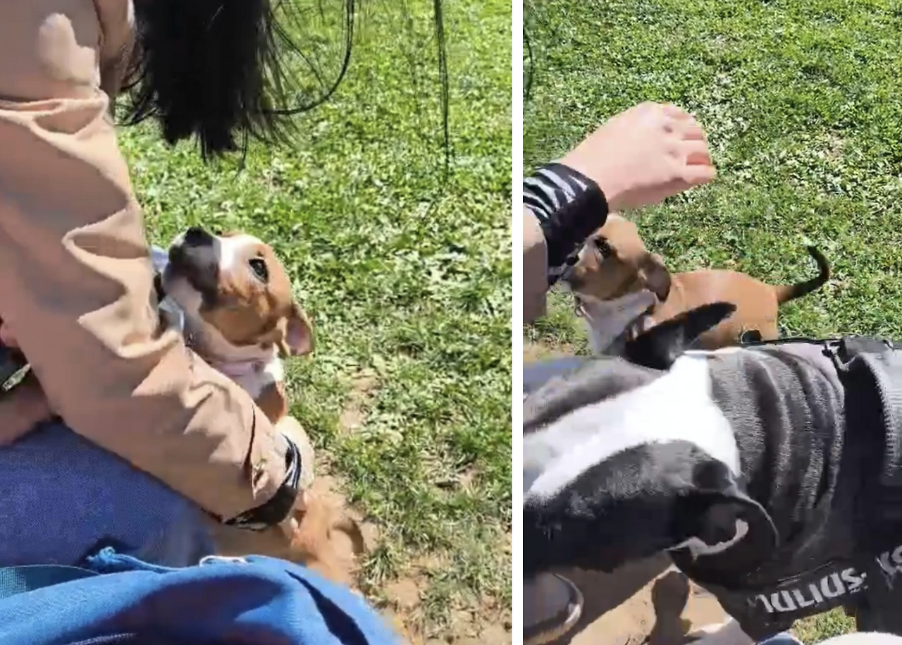 Screenshot 2026-01-04 at 4.04.17 PM.png