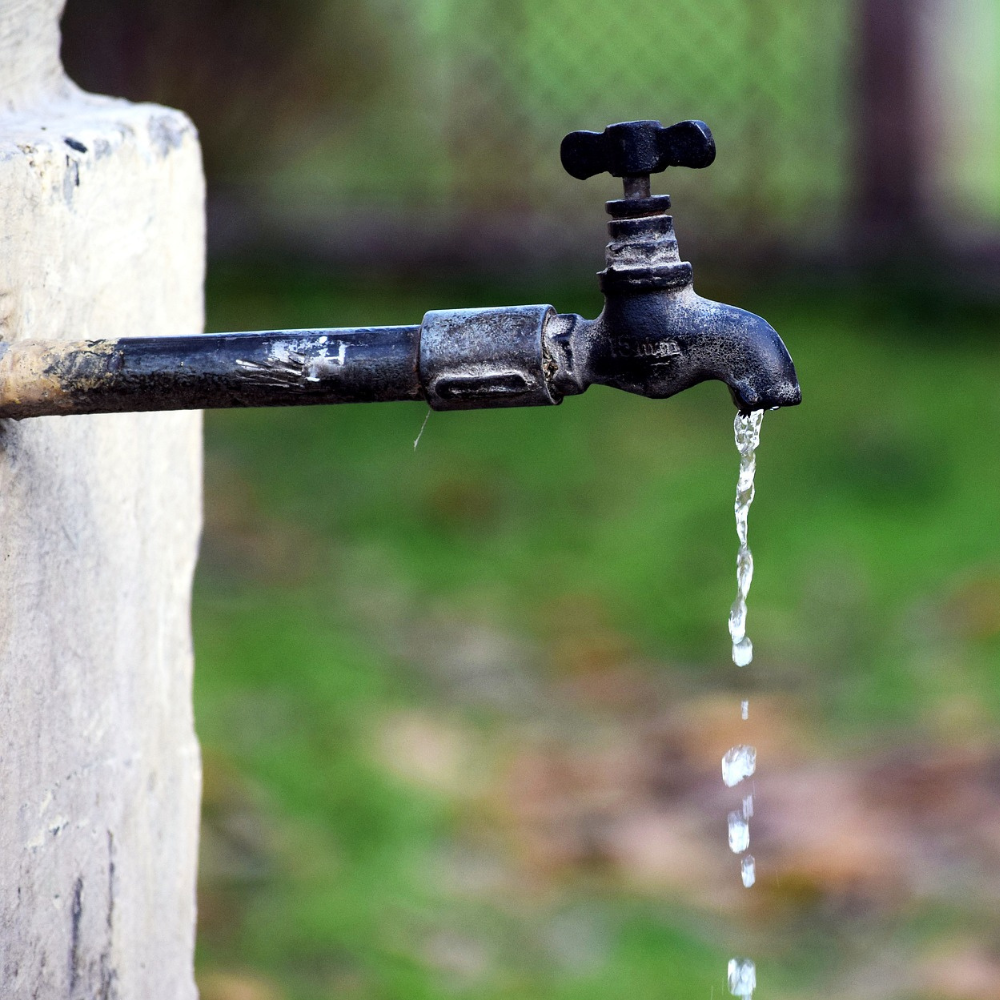 제목 없는 디자인 (1).png