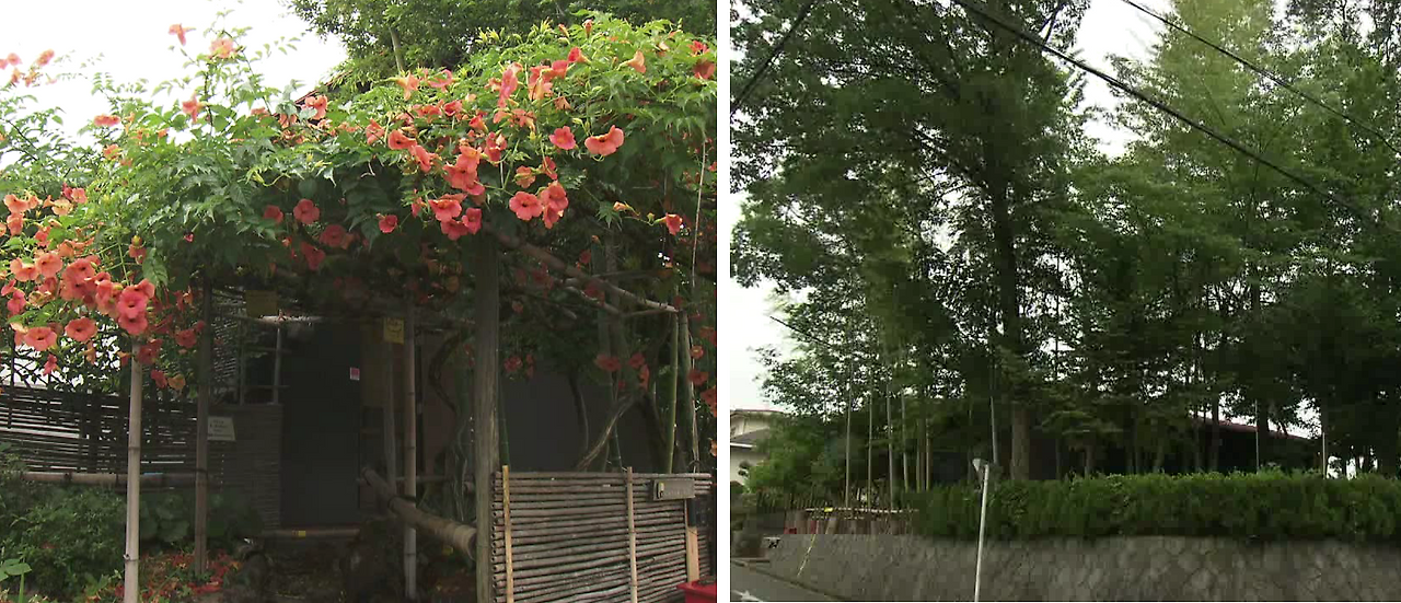 인생후르츠 2.png