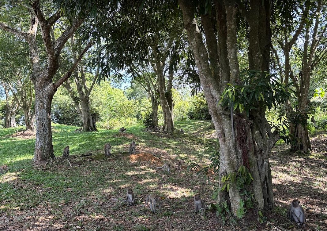 스크린샷 2025-12-29 135724.png