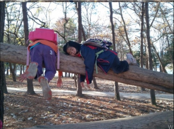 나무위에 올라간아이들(파란하늘).png