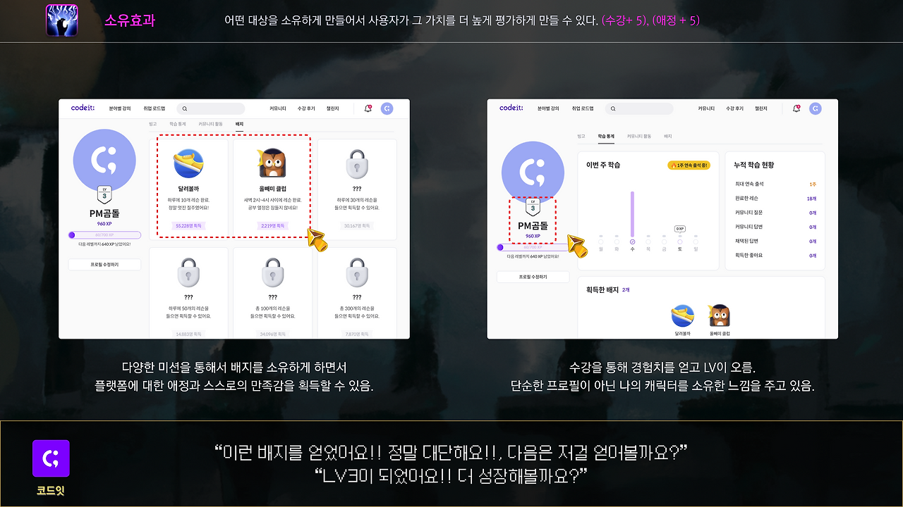 소유효과 코드.png