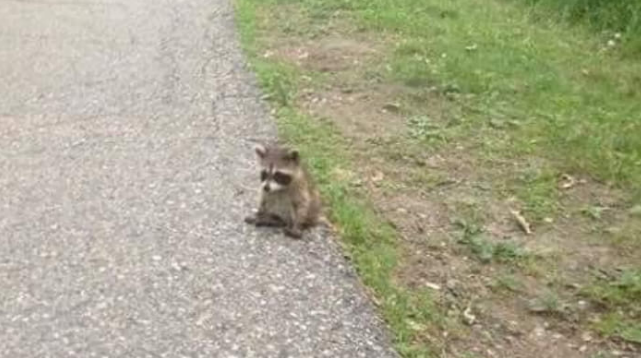 제목을-입력해주세요_-001 (24).png