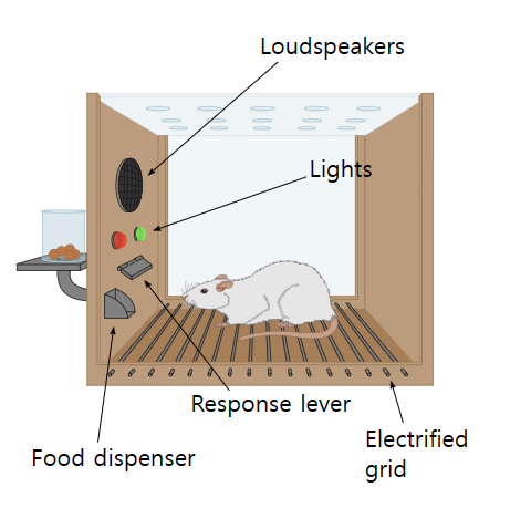 화면 캡처 2024-04-24 204354.png