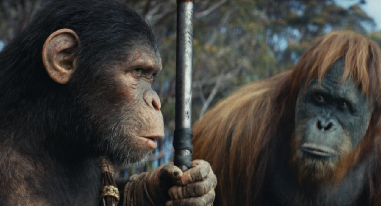 스크린샷 2024-05-11 232645.png