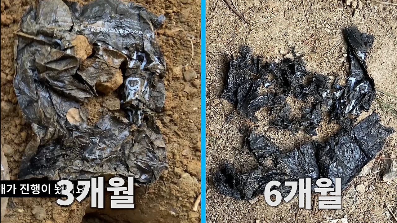 생분해 3탄 최종-0001.png