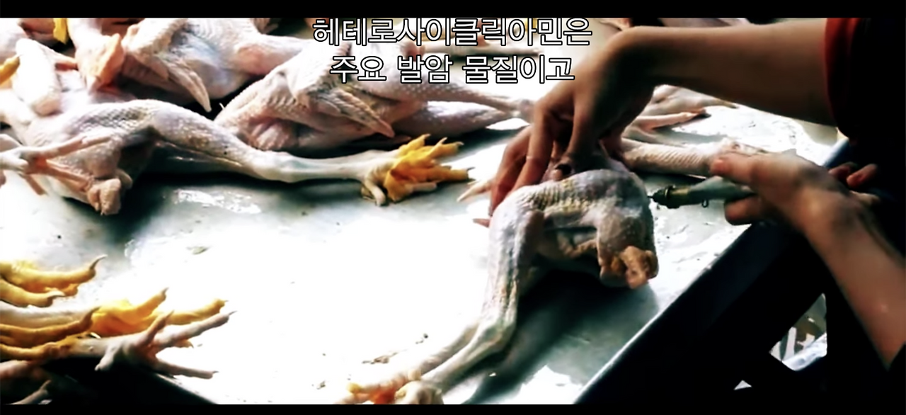 스크린샷 2020-07-30 11.39.29.png