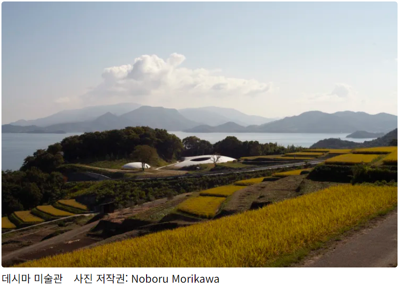 화면 캡처 2024-10-08 172358.png