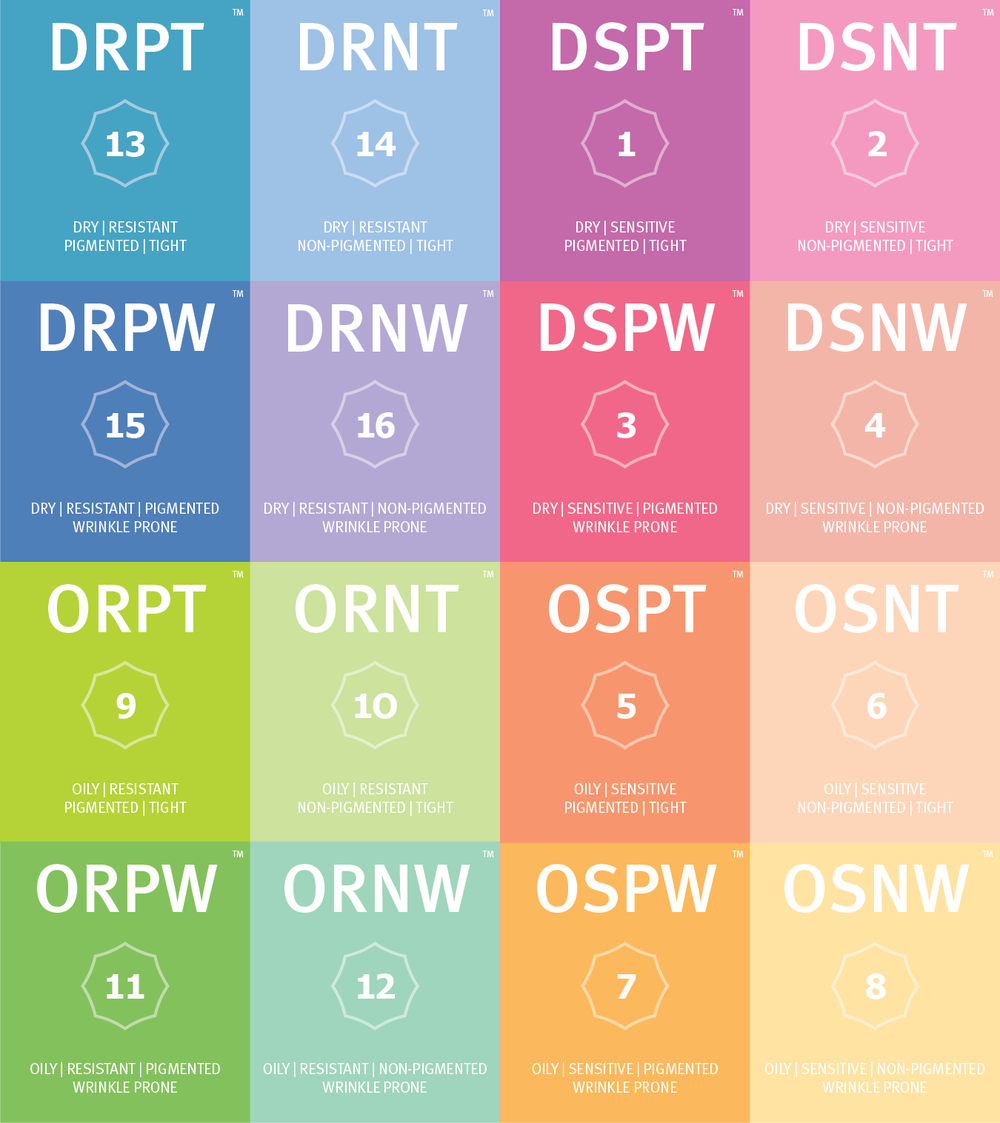 16가지피부유형.png