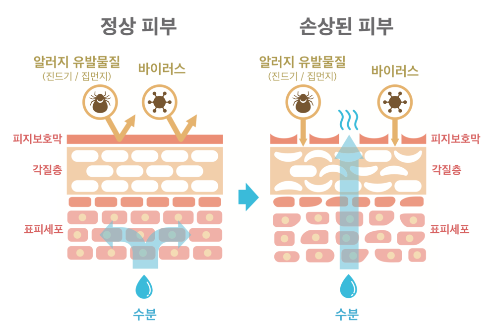 Photo by Neill Kumar on Unsplash.png