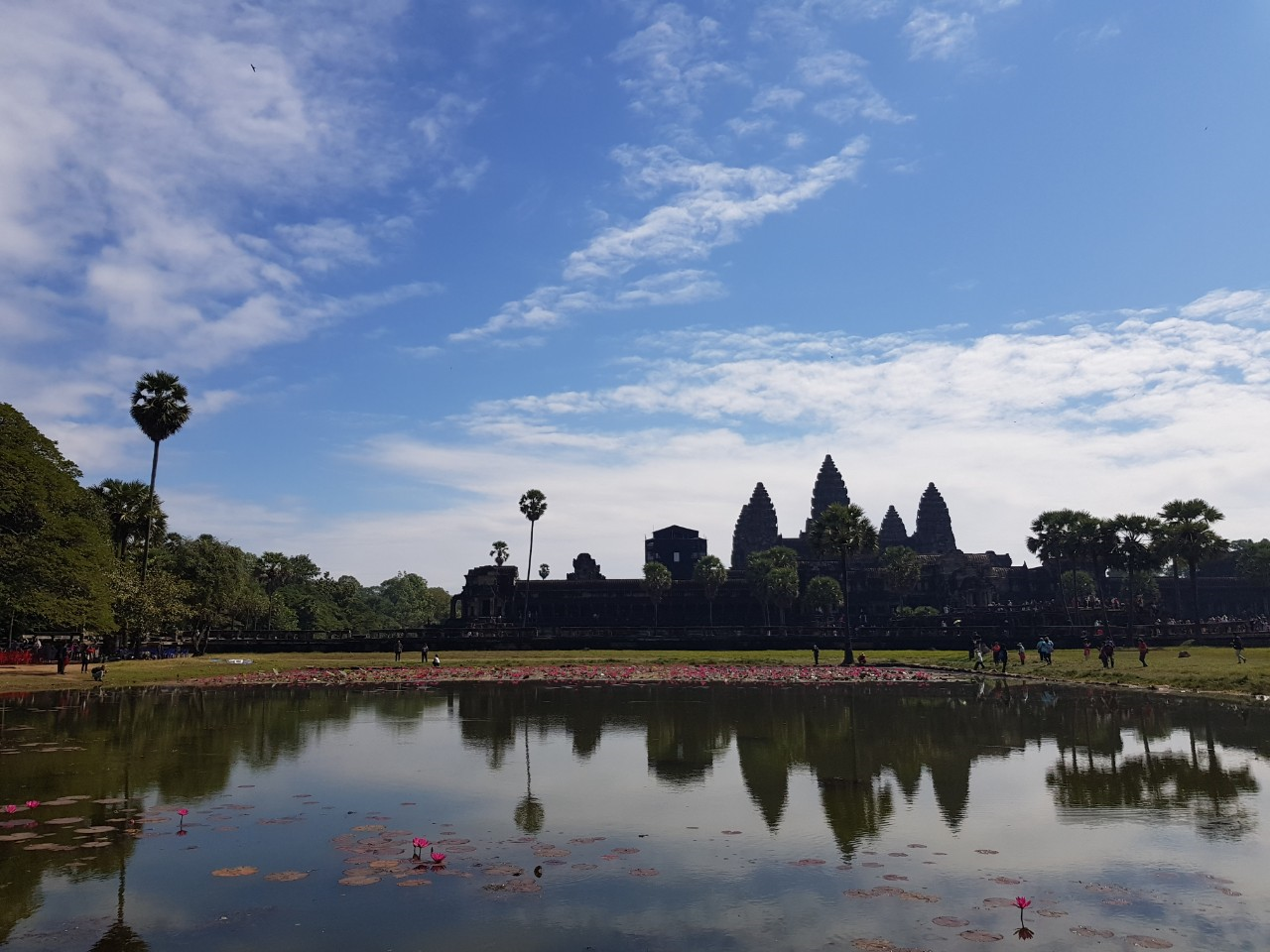 앙코르왓드 연못.png