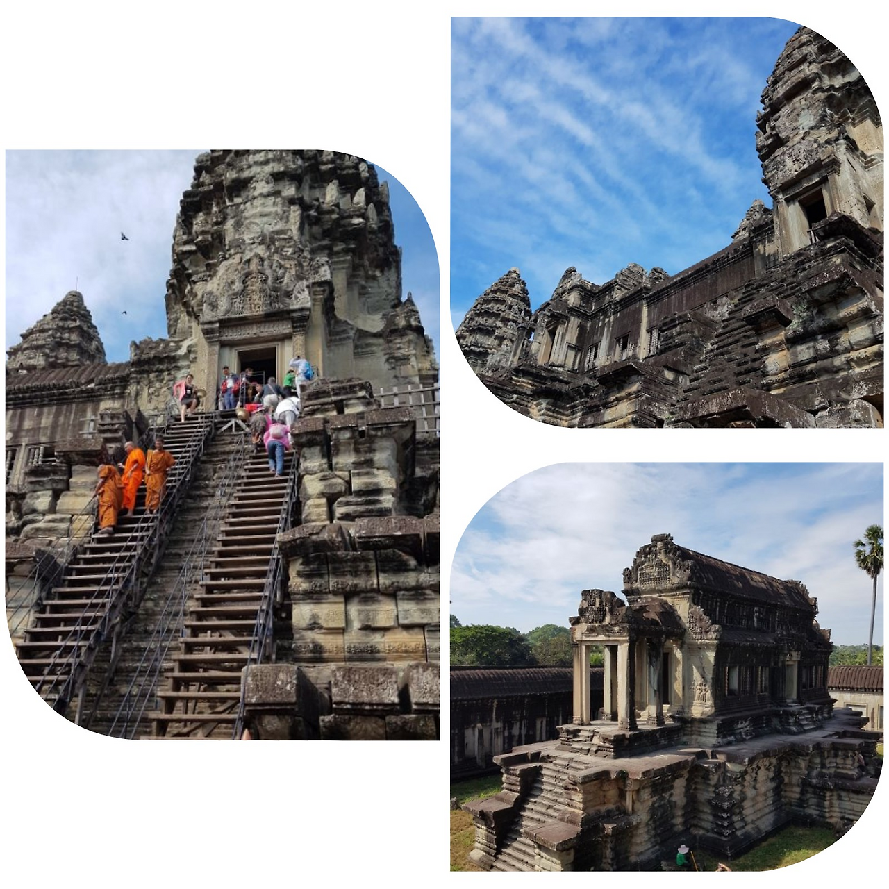 앙코르왓드1.png