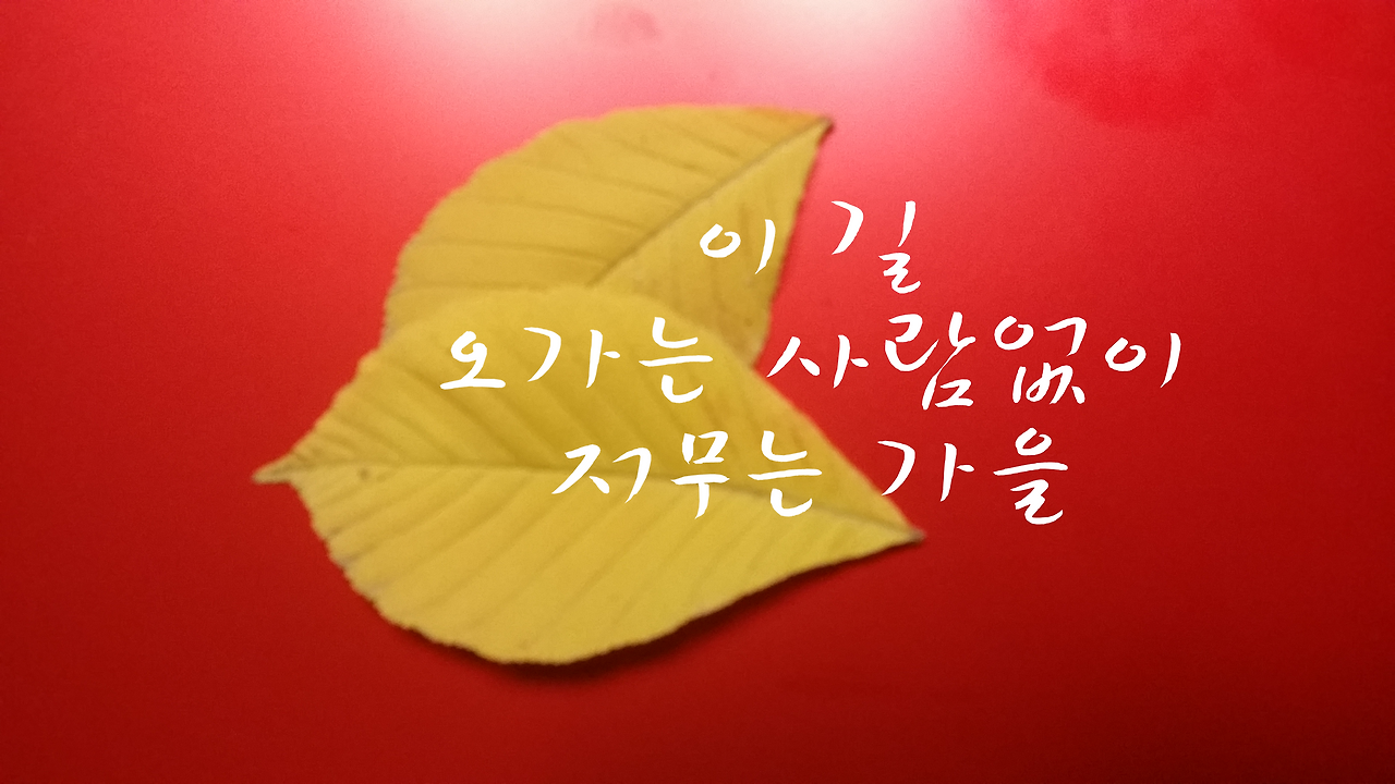 낙엽, 저무는 가을.png