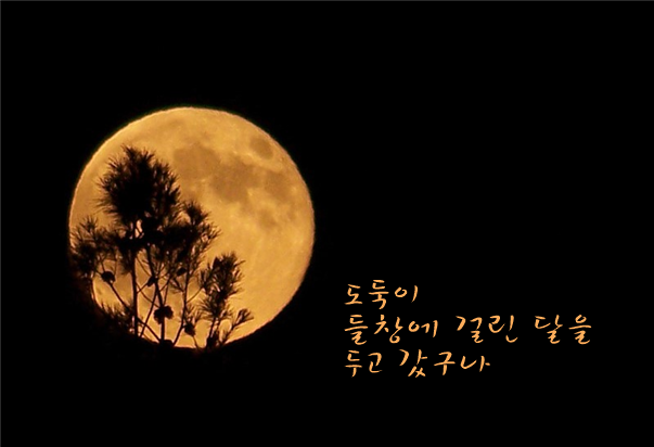 들창에 걸린 달.png