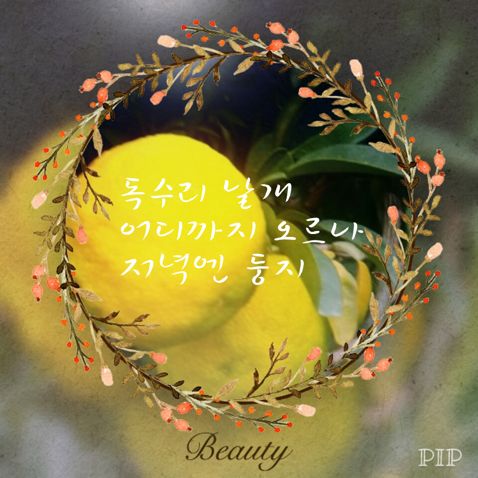 저녁엔 둥지.png