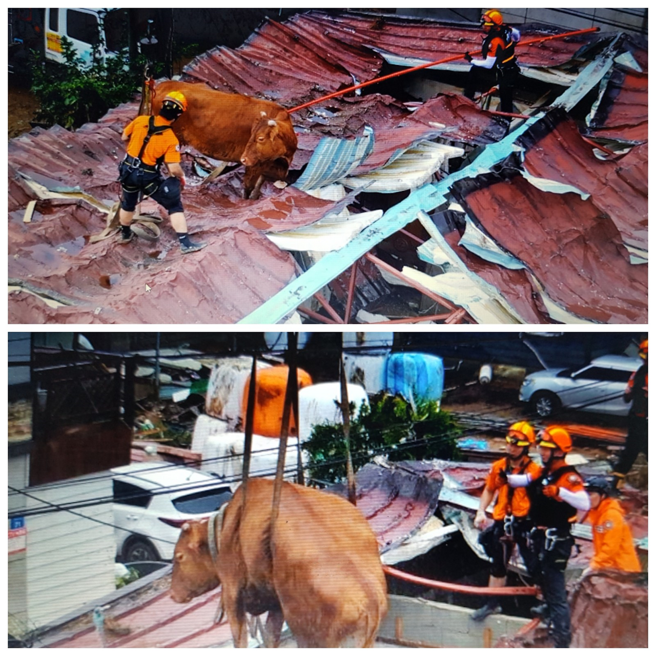 구례마을 소11.png