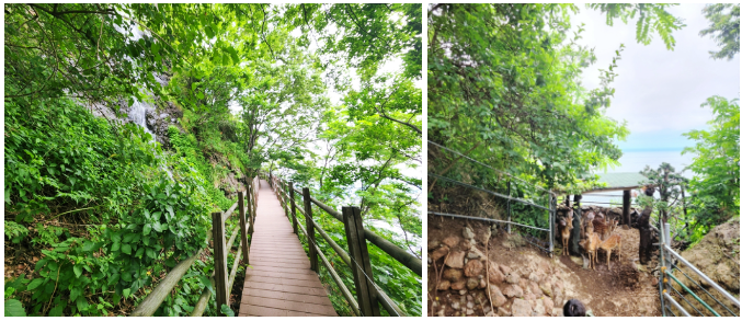 스크린샷 2022-09-13 오전 7.57.13.png