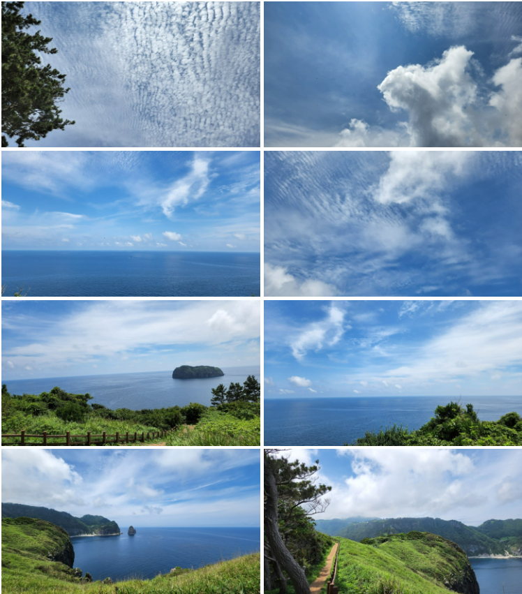 화면 캡처 2022-09-28 011726.png