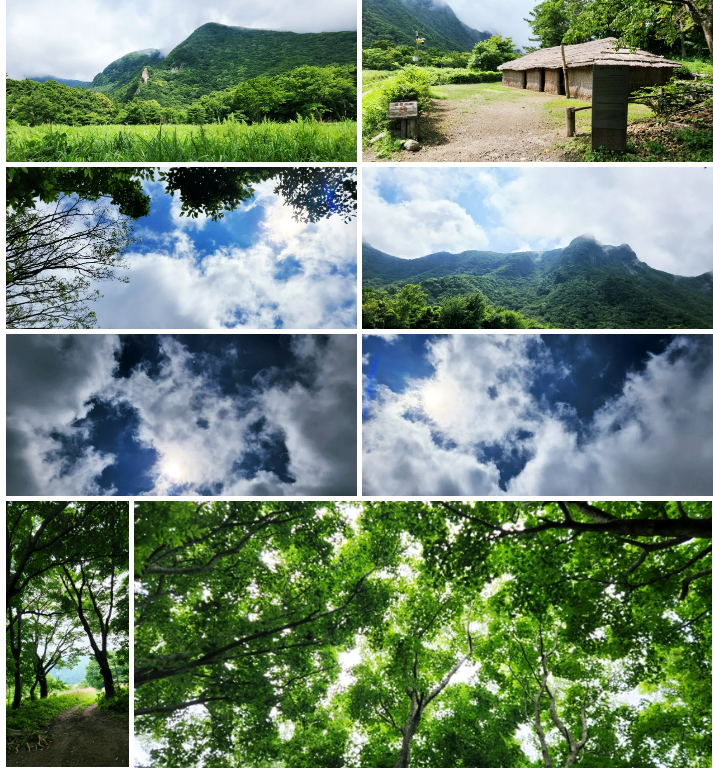 화면 캡처 2022-09-25 233658.png