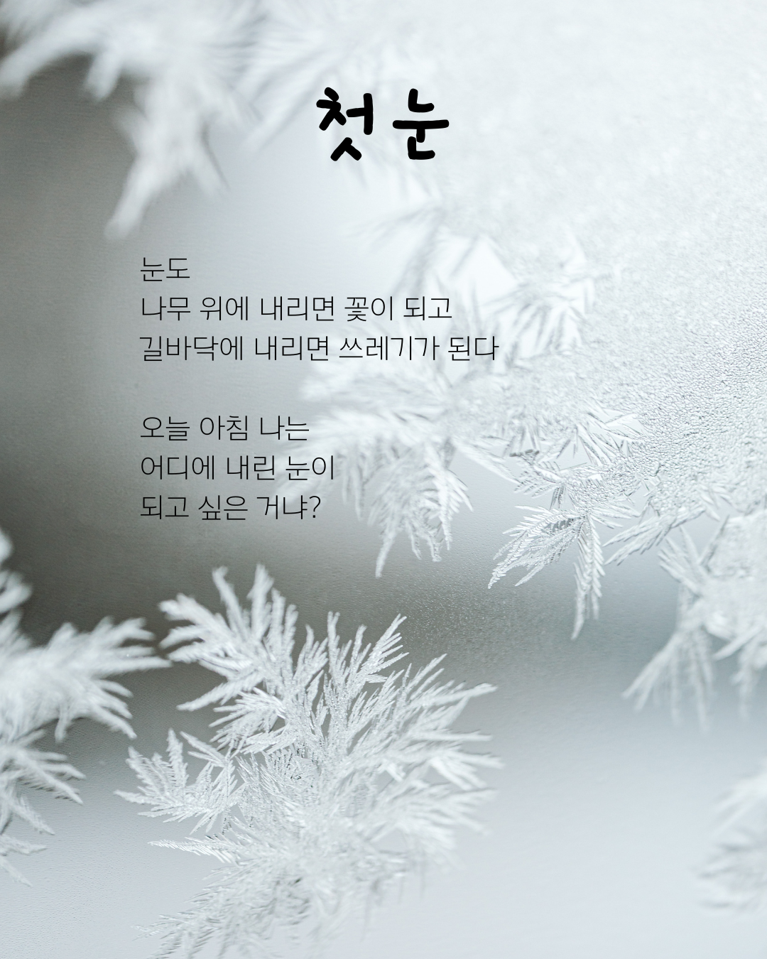 가을 입구 (1).png