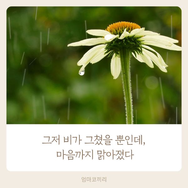 회색 심플한 명언 문구 인스타그램 포스트 (7).png