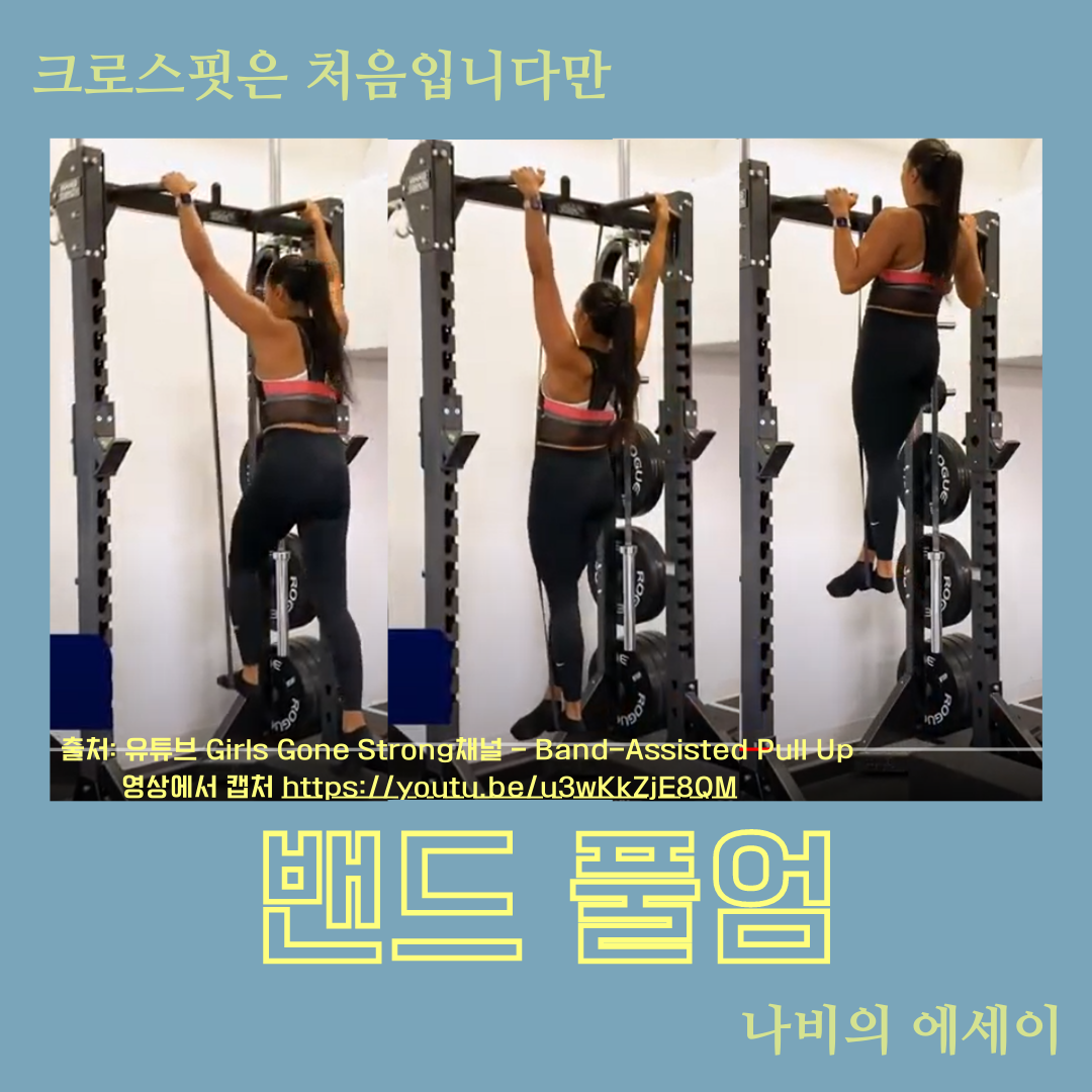 크로스핏은 처음입니다만의 사본 (1).png