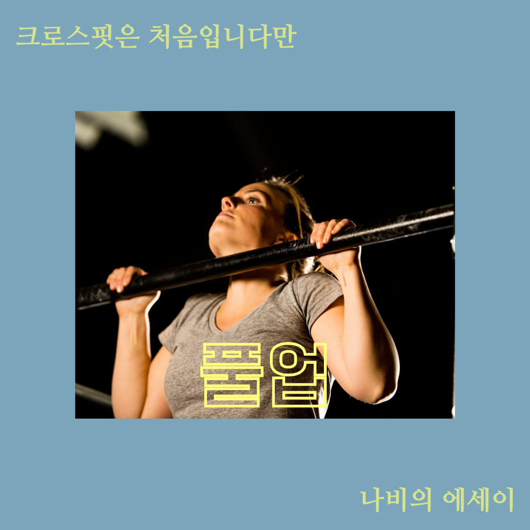 크로스핏은 처음입니다만의 사본 (4).png