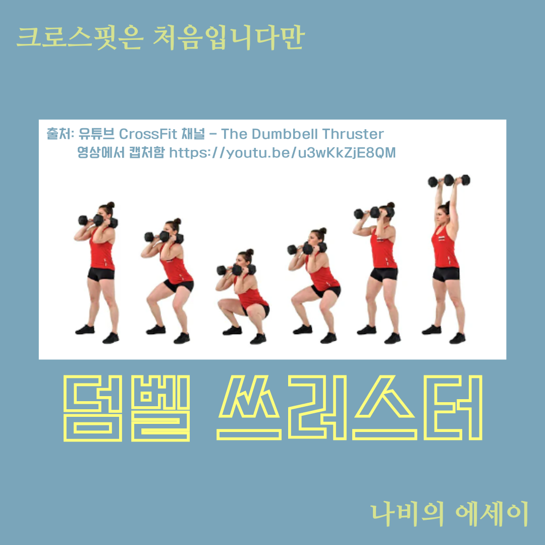 크로스핏은 처음입니다만의 사본.png