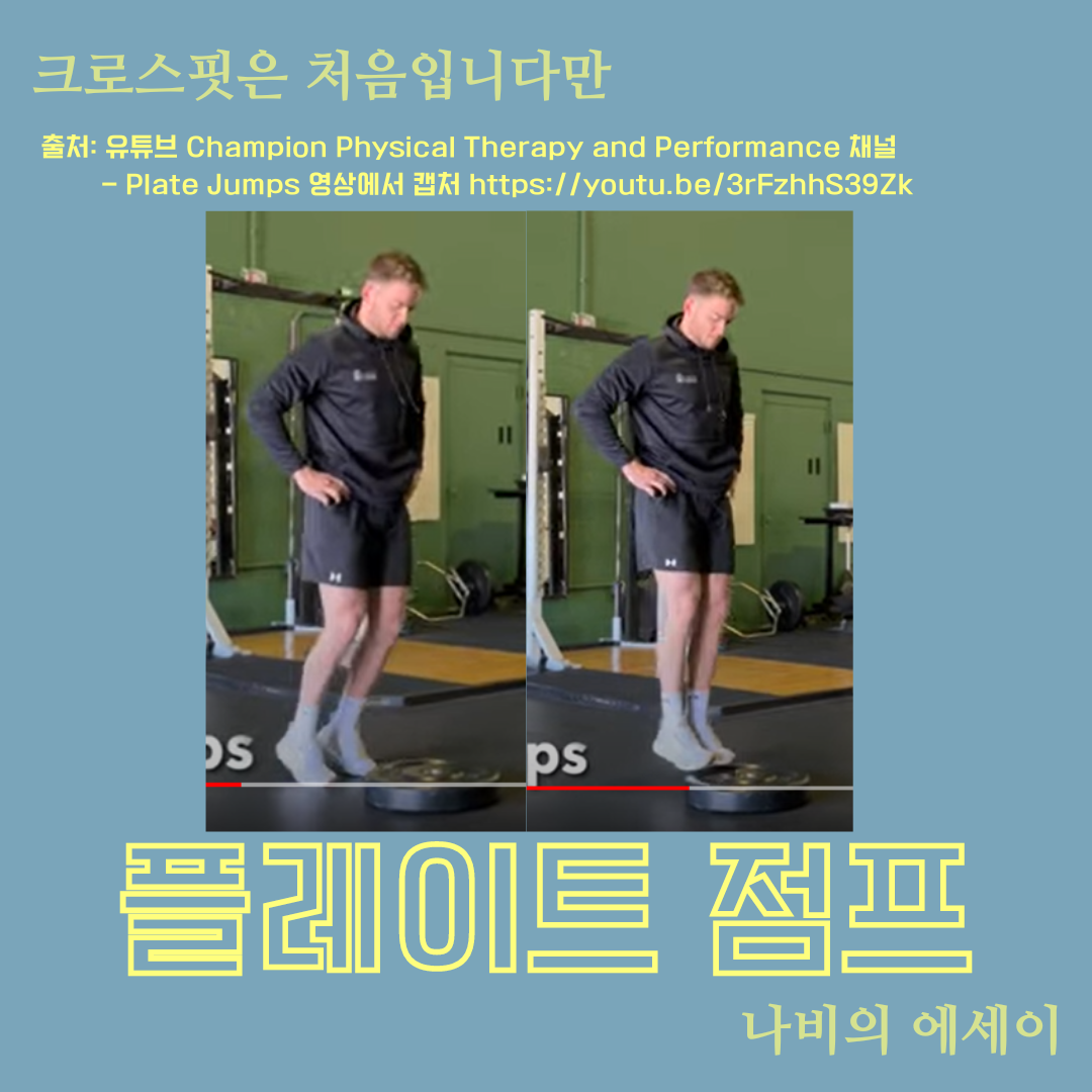 크로스핏은 처음입니다만의 사본 (2).png