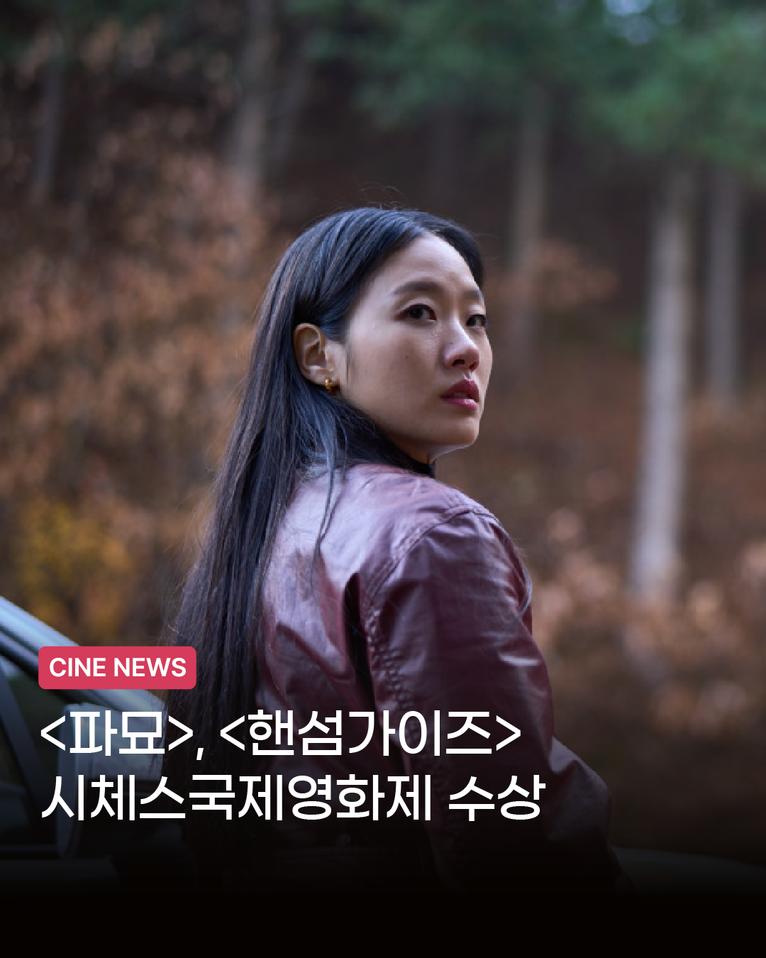 씨네뉴스 -01.png