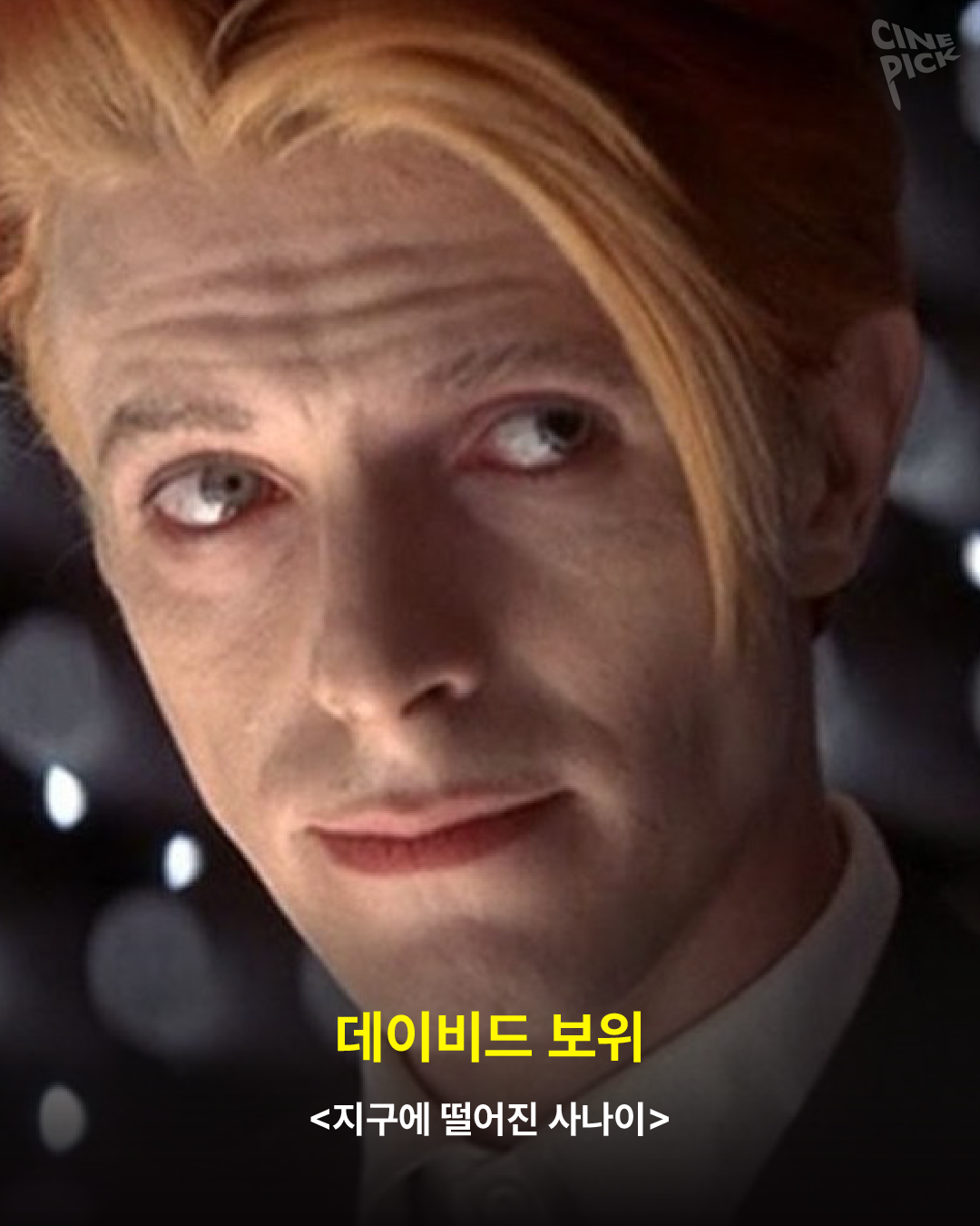 다재다능 아티스트-07.png