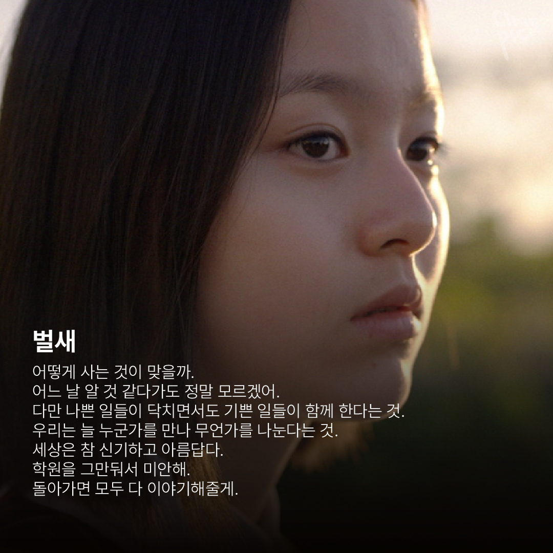 편지 영화-02.png