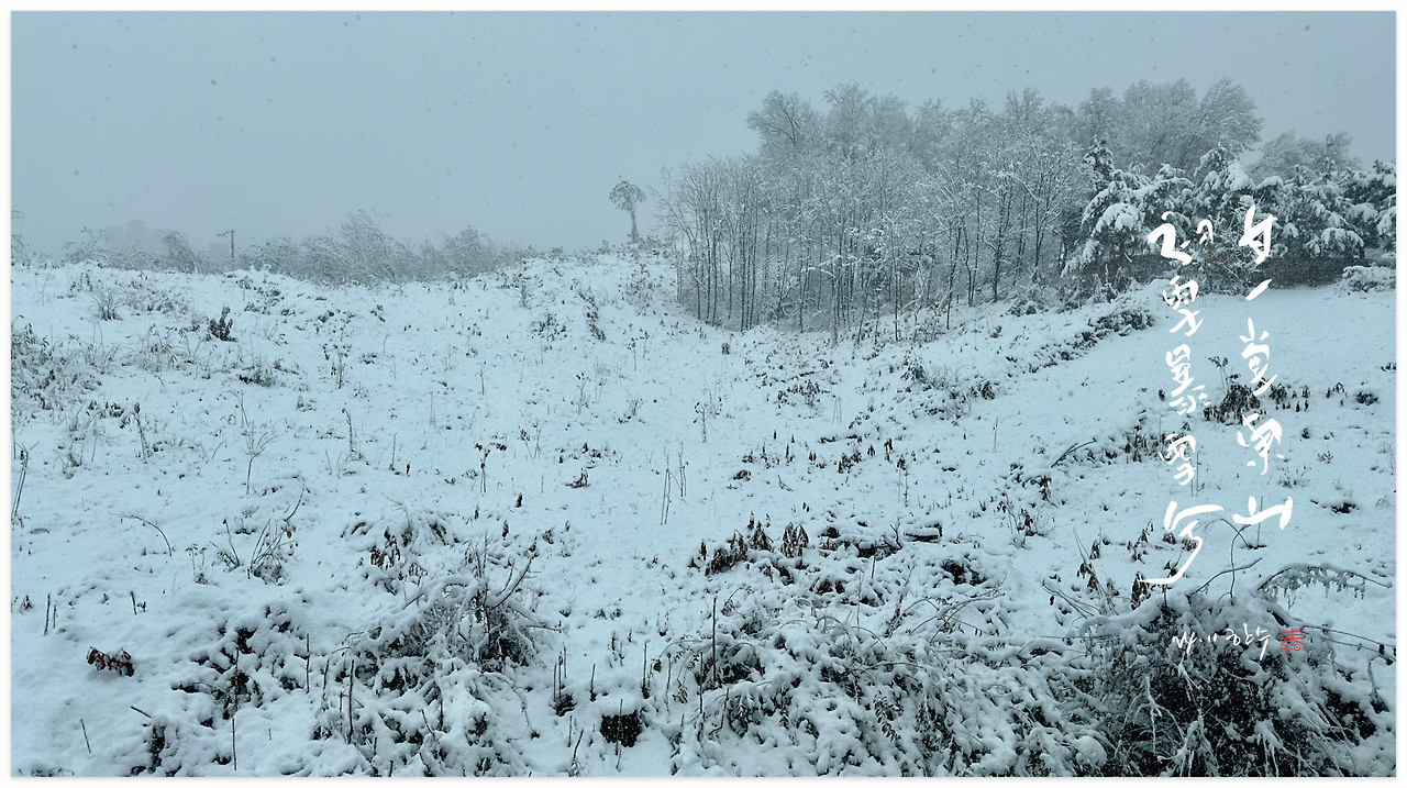 스크린샷 2024-11-28 오후 10.12.39.png