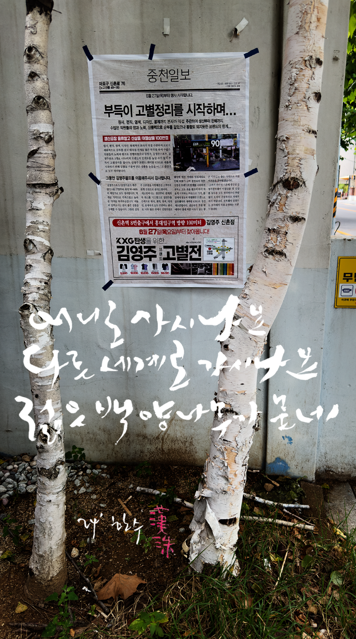 스크린샷 2024-06-25 오전 6.08.19.png