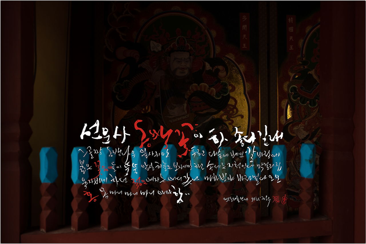 23' 사진 붓글 : 선운사 동백꽃이 2.png