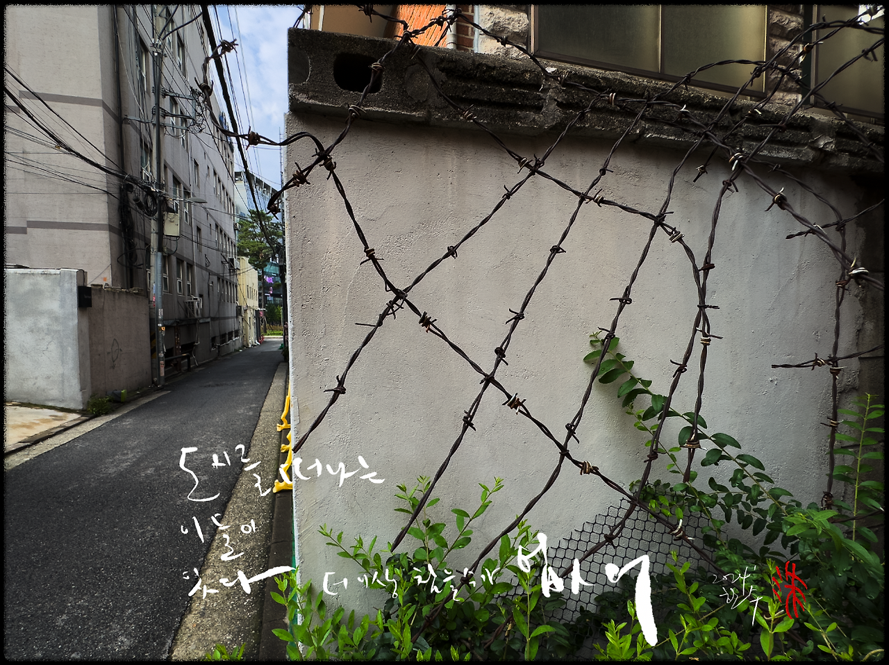 스크린샷 2024-10-09 오전 6.20.11.png