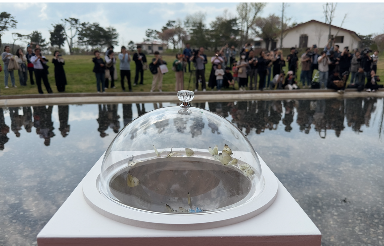 스크린샷 2025-04-21 오후 5.48.45.png