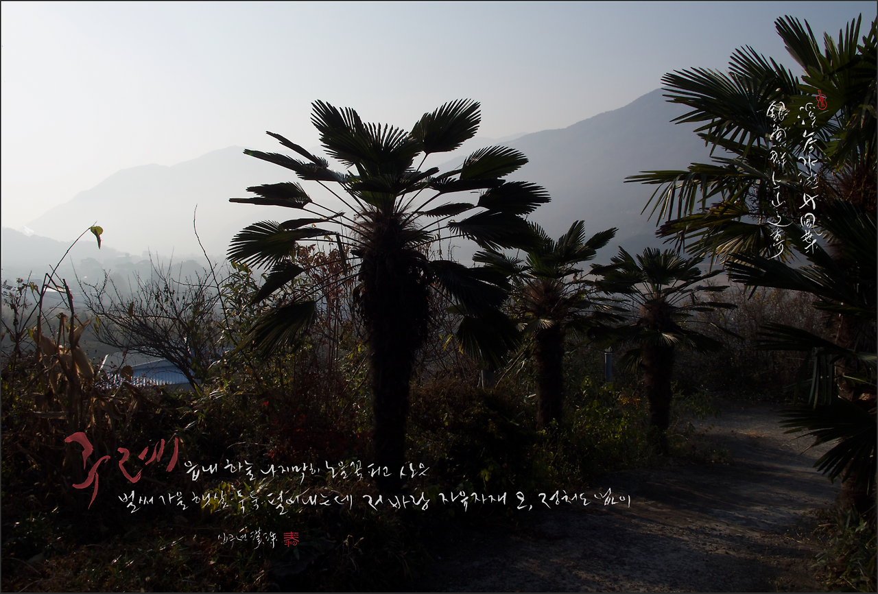 스크린샷 2024-03-05 오전 6.42.15.png