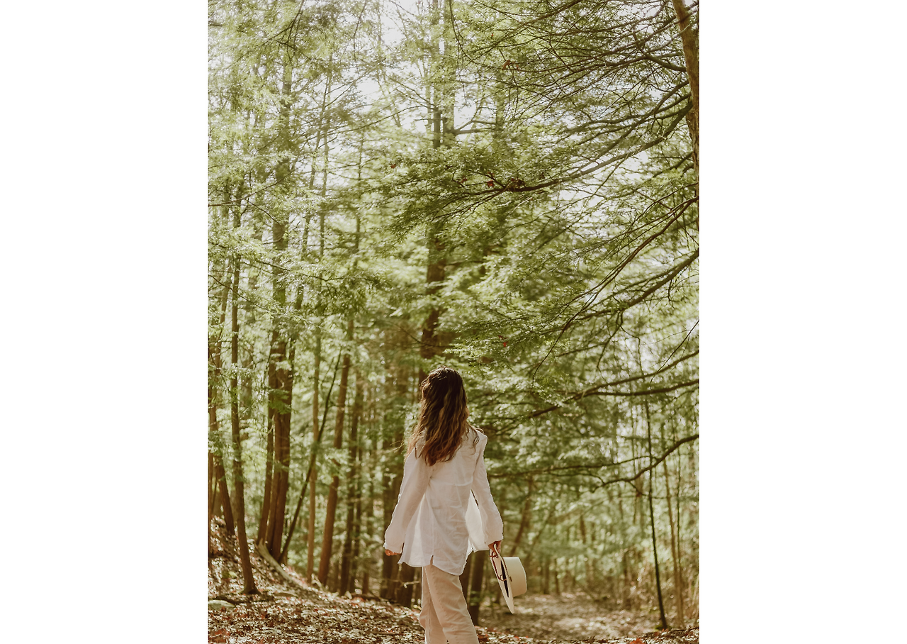 Untitled design (2).png