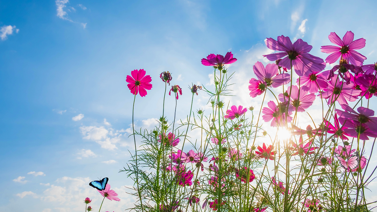 제목 없는 디자인.png