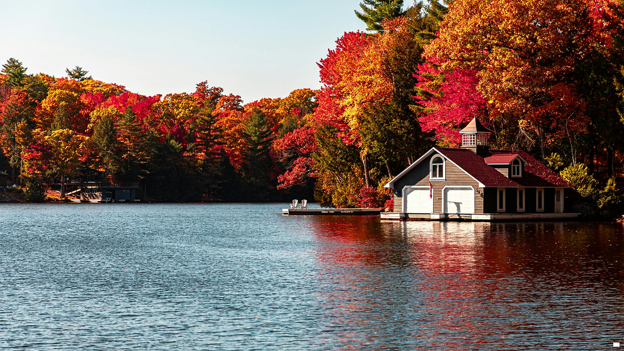 제목 없는 디자인.png
