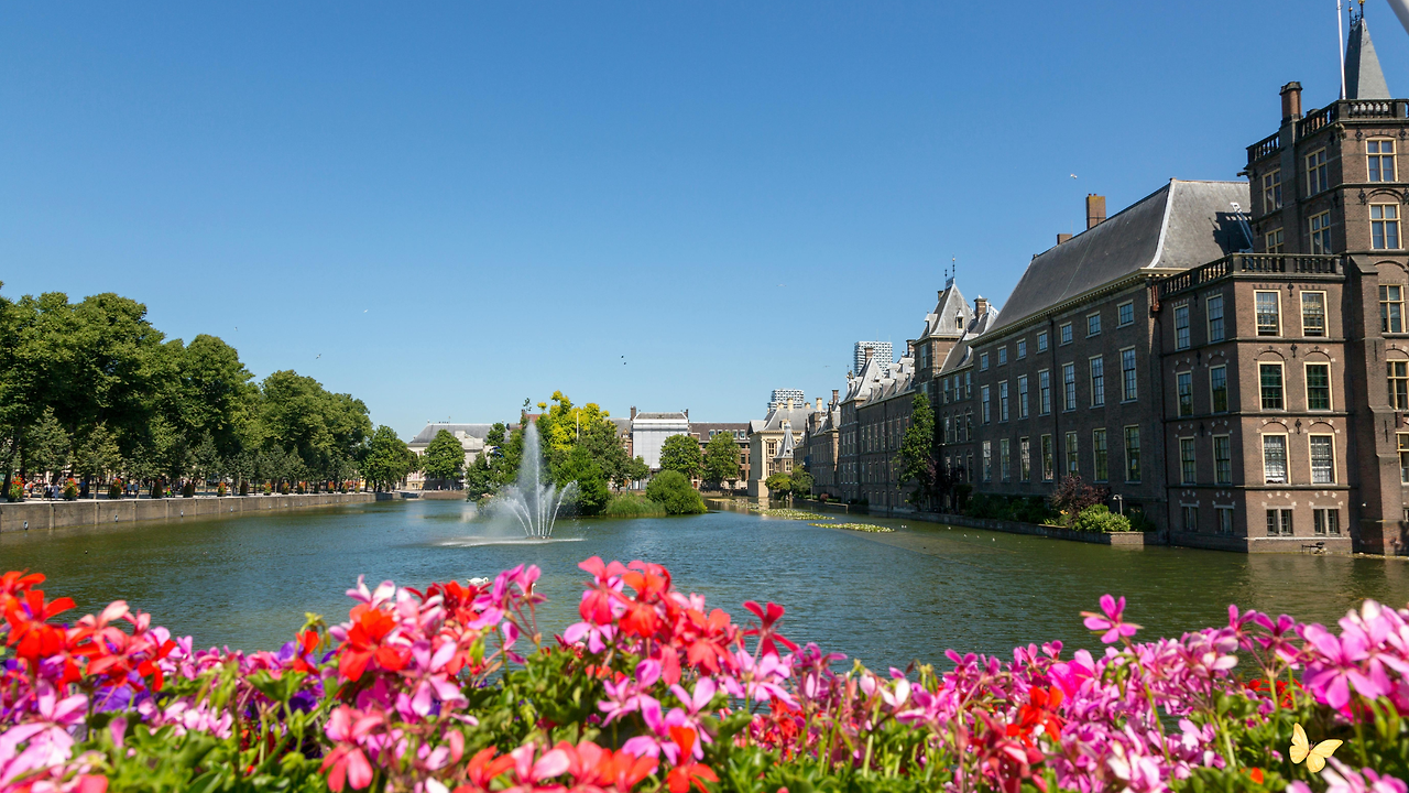 제목 없는 디자인.png