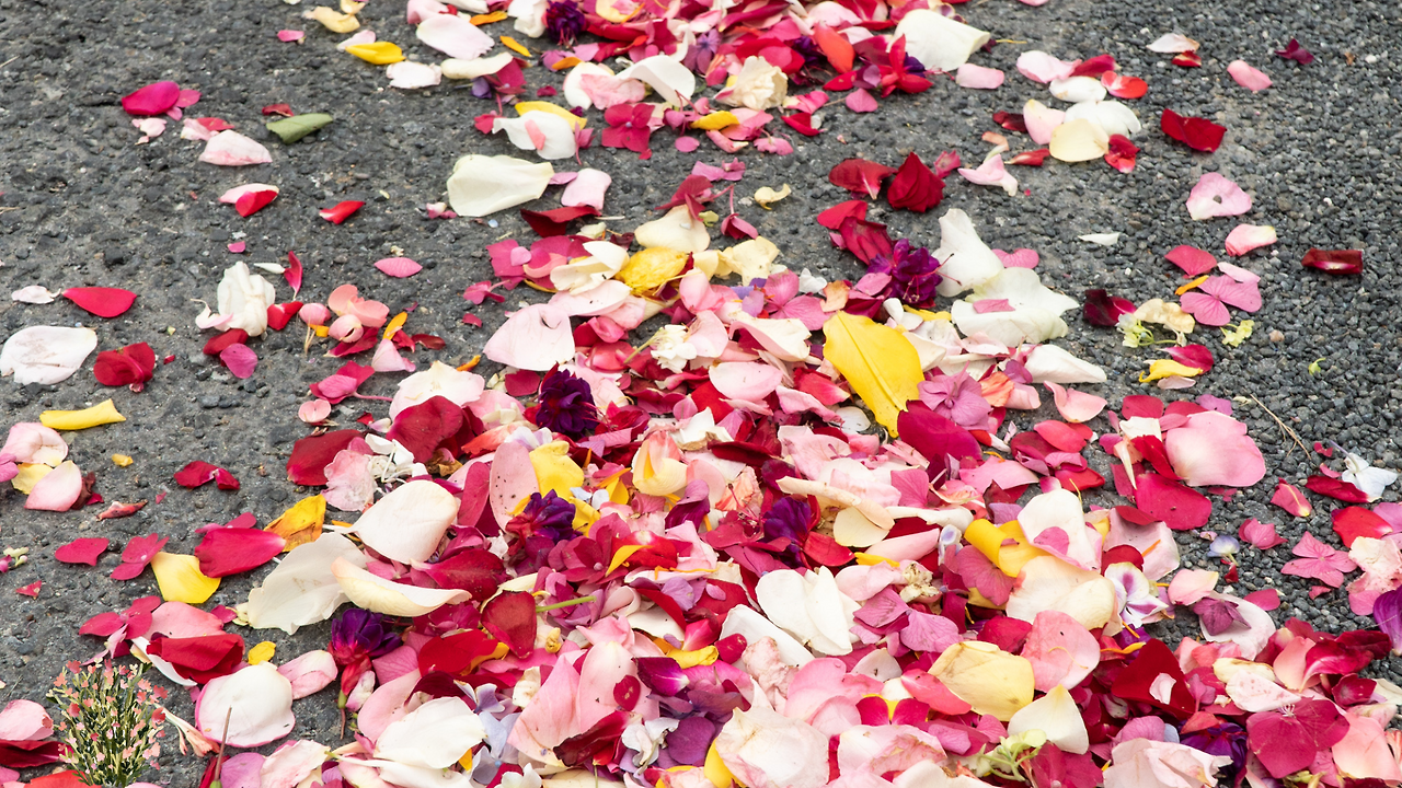 제목 없는 디자인.png