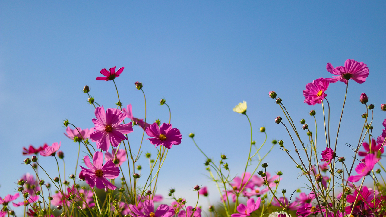 제목 없는 디자인.png