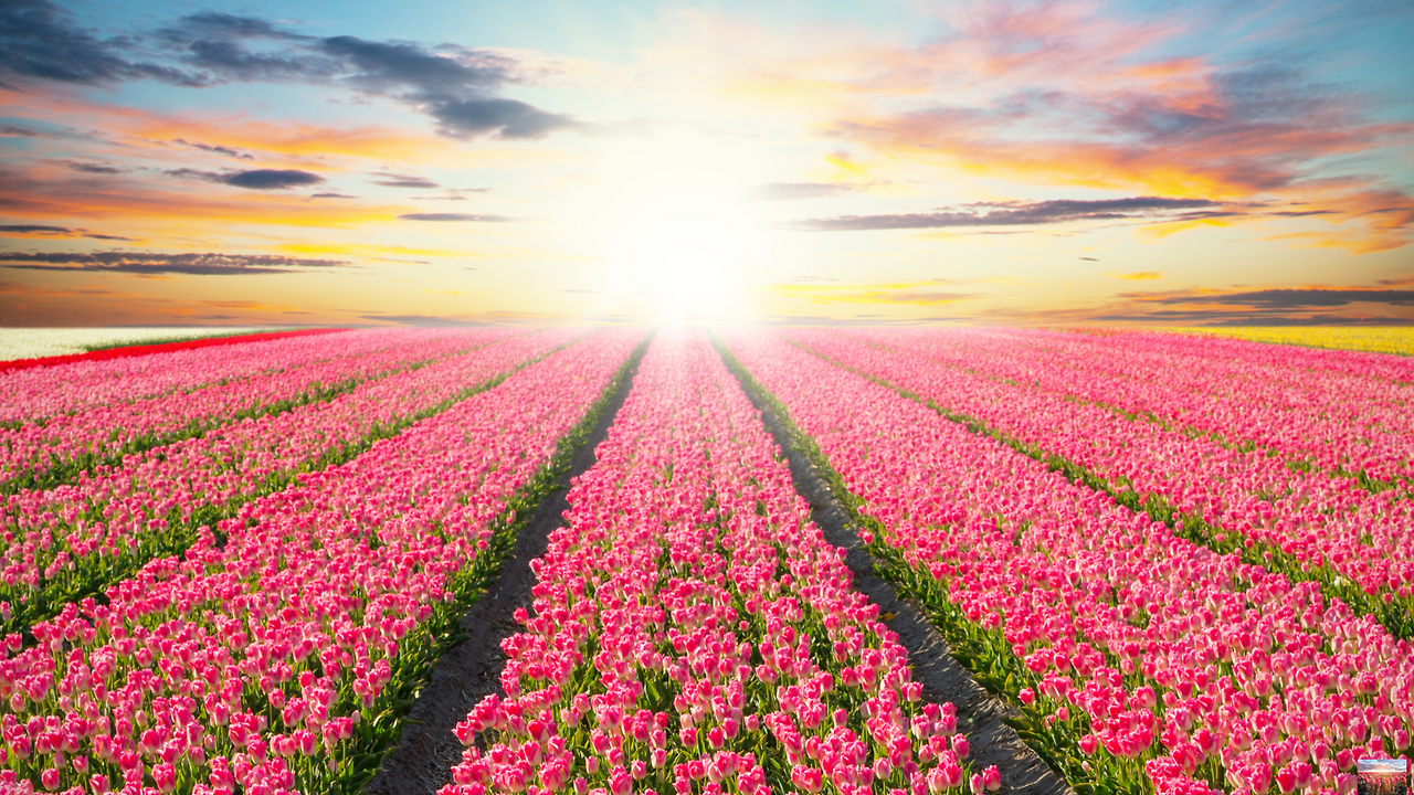 제목 없는 디자인.png