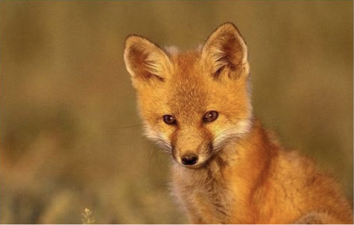 화면 캡처 2023-01-20 111500.png