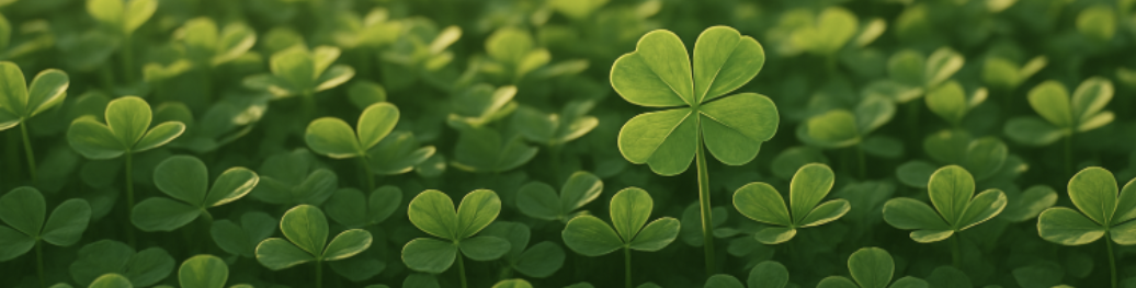 최상 네잎 클로버.png