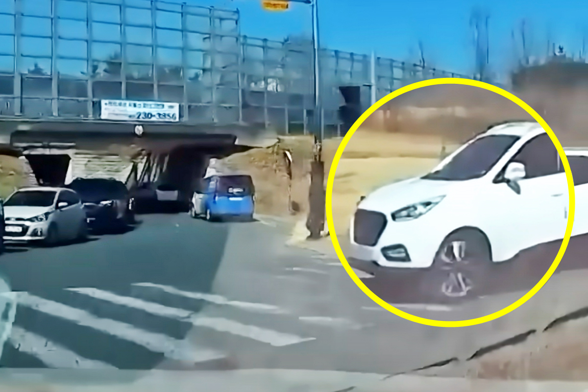 썸네일 사진 출처 = 유튜브 채널 '한문철TV'.png