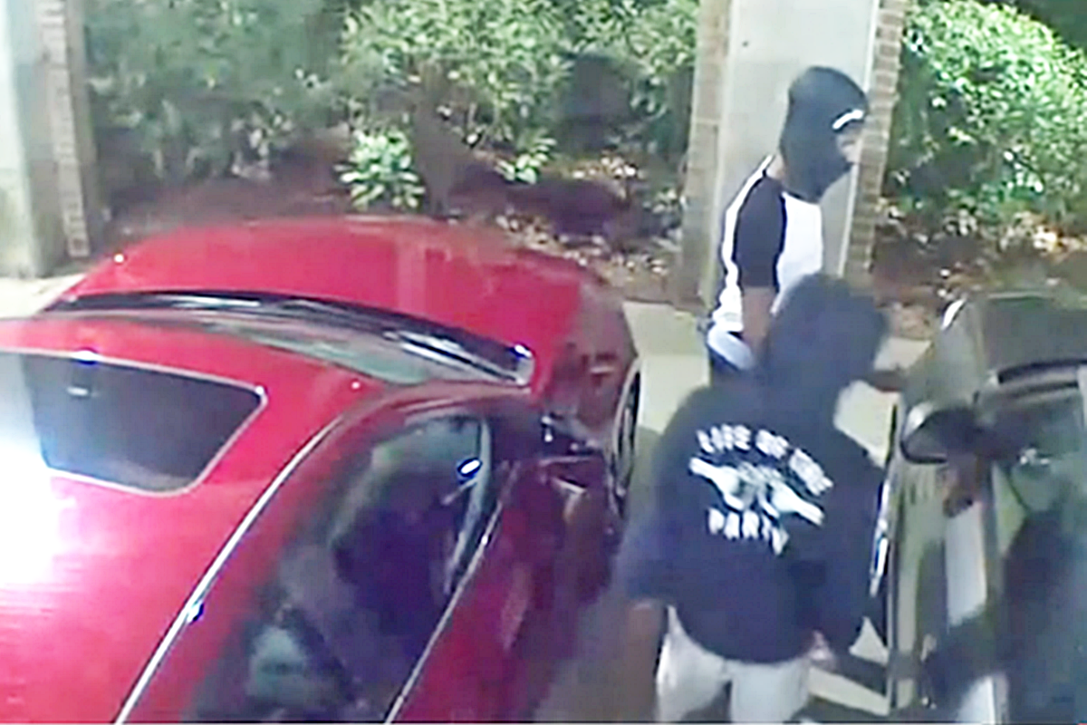 0_미국 현기차 절도.png